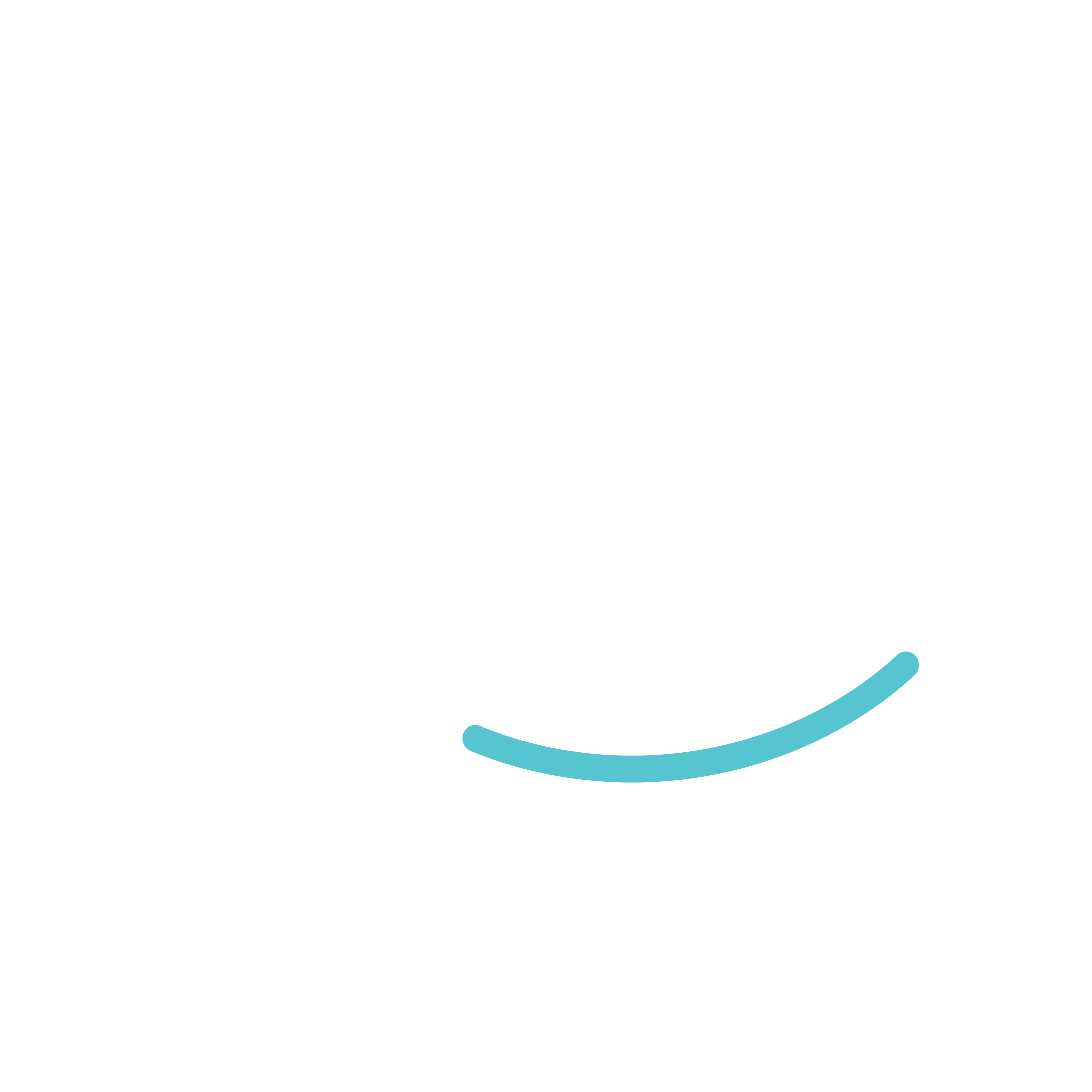 Ride Rental